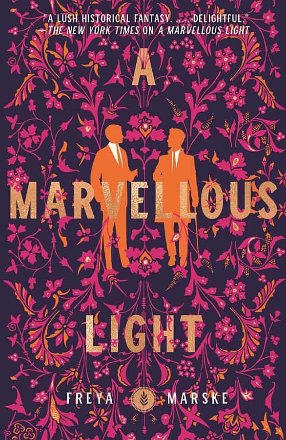 book cover for A Marvellous Light