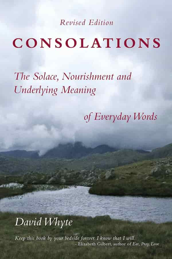 book cover for Consolations