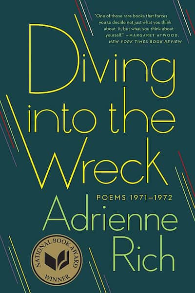 book cover for Diving into the Wreck