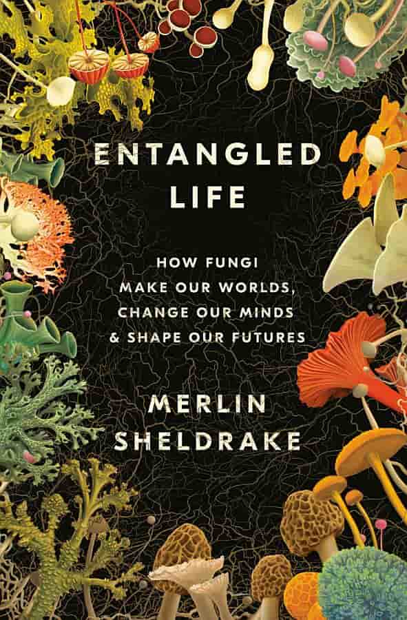 book cover for Entangled Life