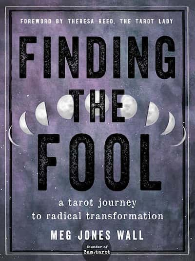 book cover for Finding the Fool