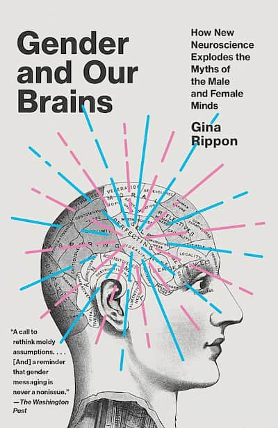 book cover for Gender and Our Brains