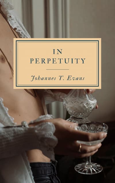 book cover for In Perpetuity