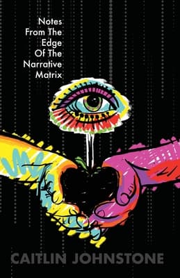 book cover for Notes from the Edge of the Narrative Matrix