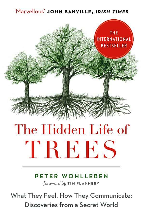 book cover for The Hidden Life of Trees