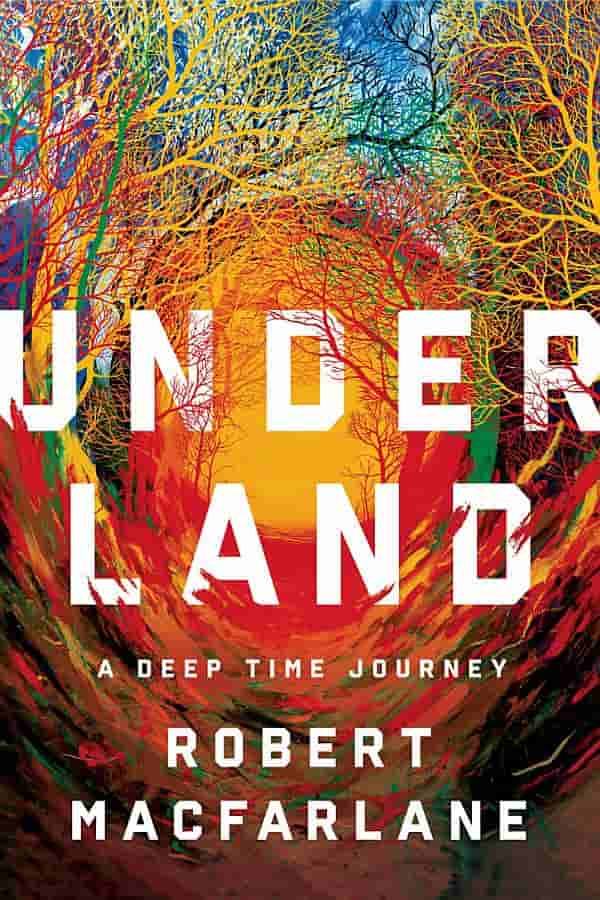 book cover for Underland